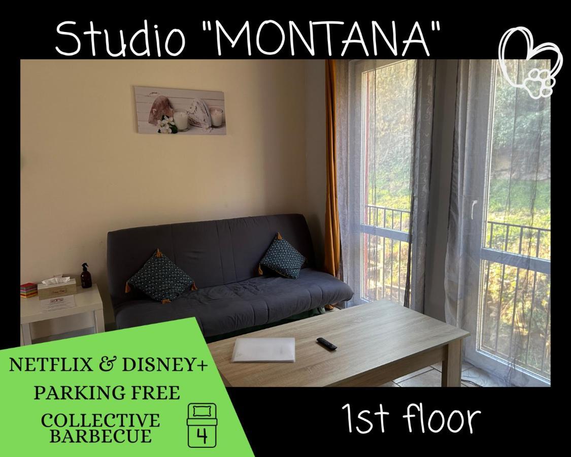 L'Arizona Dinant - Studio Montana - Barbecue, Free Parking, Dog Ok Екстер'єр фото